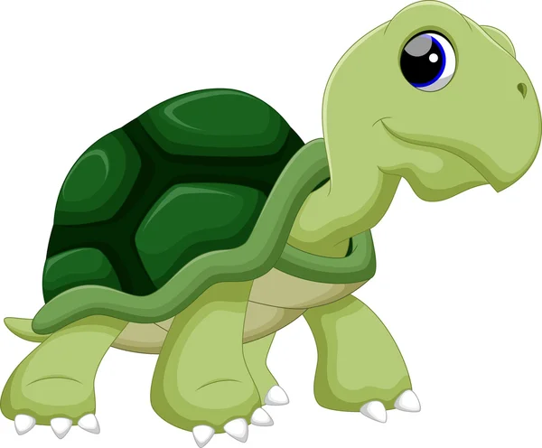 Bonito desenhos animados tartarugas — Vetor de Stock