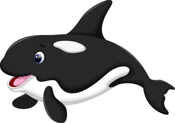 Desenho animado bonito de baleia assassina — Vetor de Stock