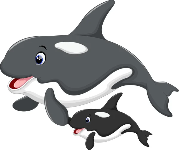 可爱的虎鲸卡通 — 图库矢量图片