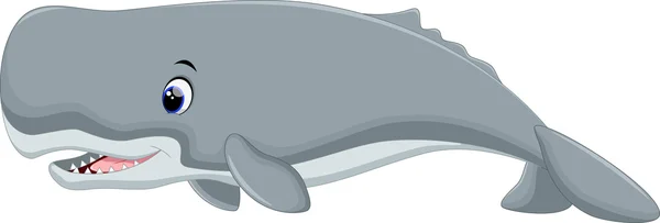 Χαριτωμένο καρτούν φάλαινα — Διανυσματικό Αρχείο