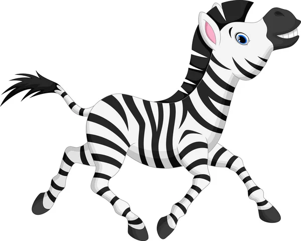 Rajzfilm aranyos zebra — Stock Vector