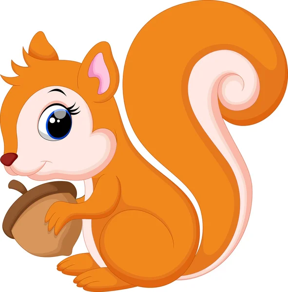 Cute squirrel cartoon — Stock Vector