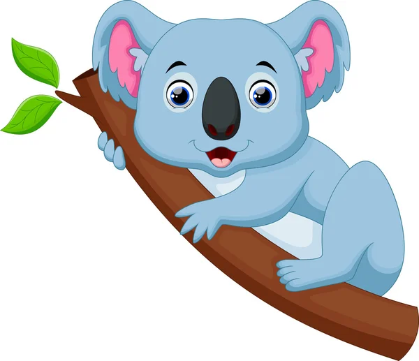 Cute koala cartoon on a tree — Stock Vector