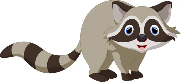 Cute raccoon cartoon — Stock Vector