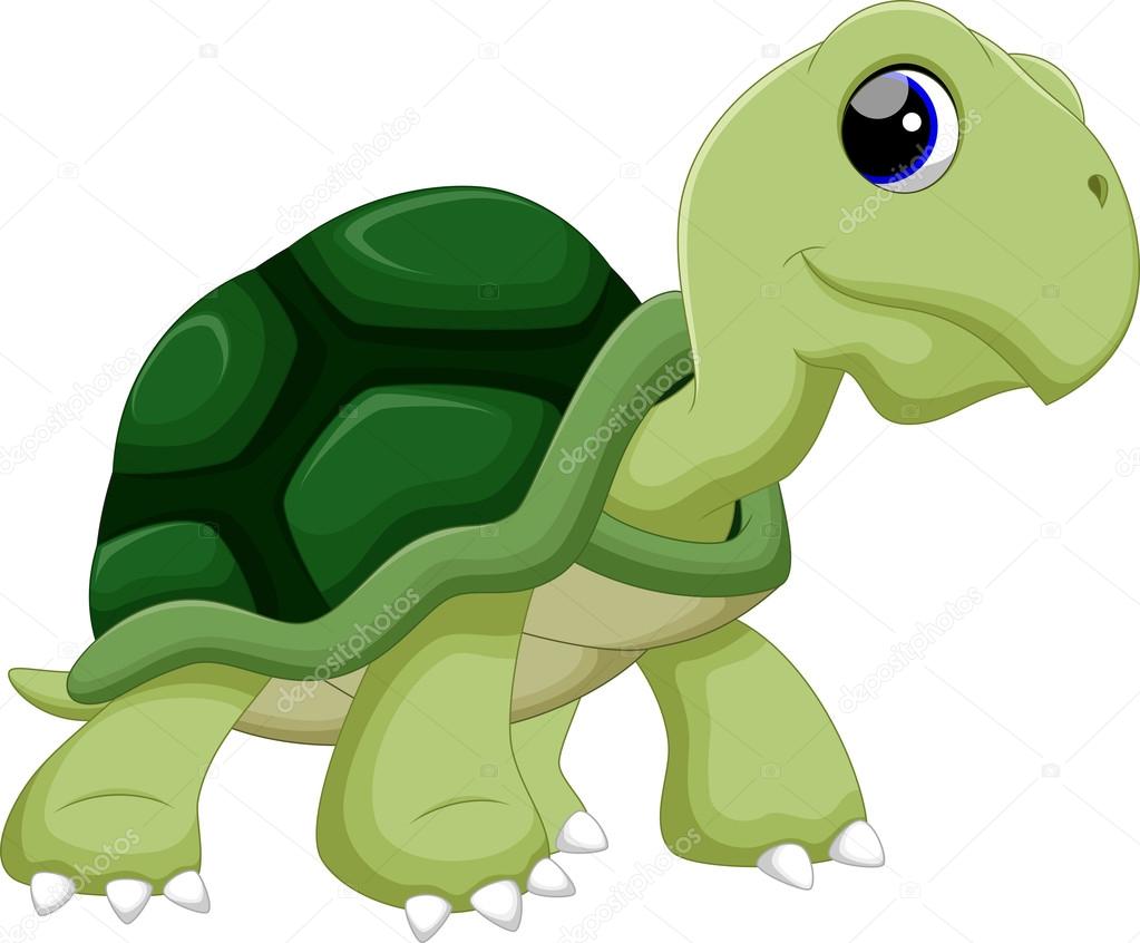 Cute  turtles cartoon