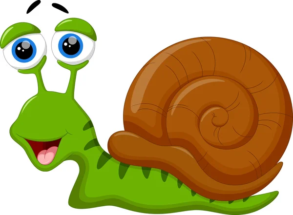 Cute snail cartoon — Stock Vector