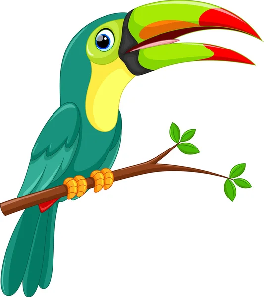 Schattig toucan vogel cartoon — Stockvector