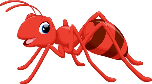 Funny ant cartoon — Stock Vector