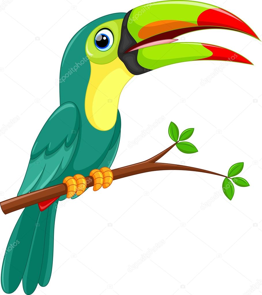 Cute toucan bird cartoon