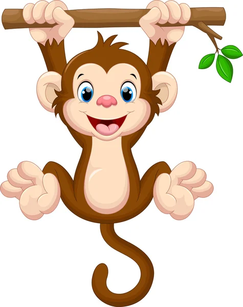 Cute baby monkey hanging on tree — Stock Vector