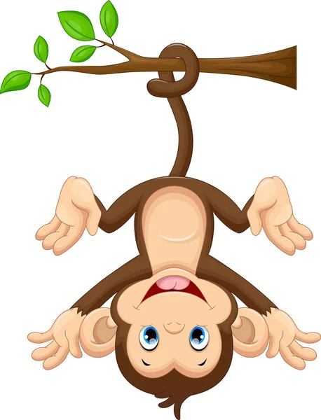 Cute baby monkey hanging on tree — Stock Vector