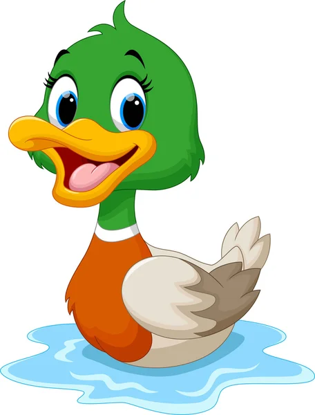 Dibujos animados pato natación — Vector de stock