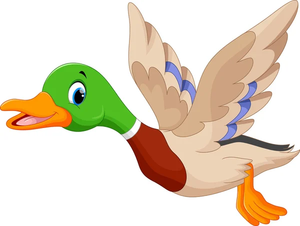 Kreslený letící kachnu — Stockový vektor