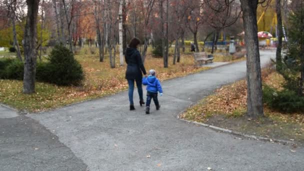 Madre e hijo caminando en el parque de otoño — Vídeo de stock