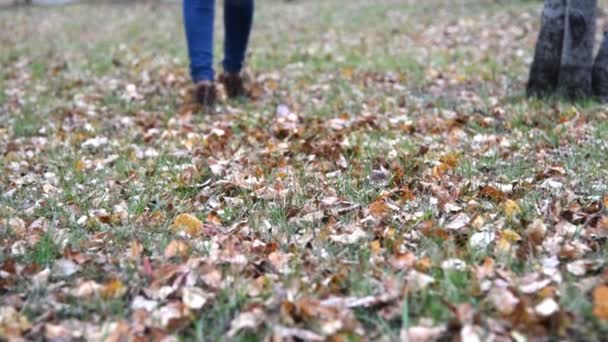 Woman walking on the ground with autumn leaves — Stock Video