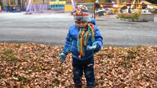 Sonbahar yapraklarıyla oynayan çocuk — Stok video