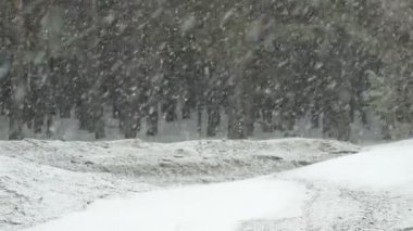 Kirli kar ve sürüş araba ile banliyö yol