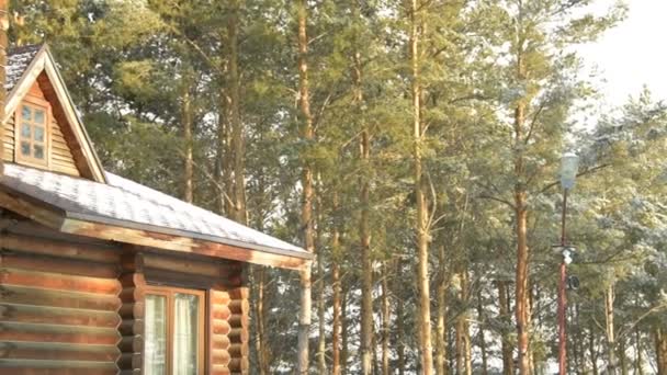 Maison en bois dans le bois — Video