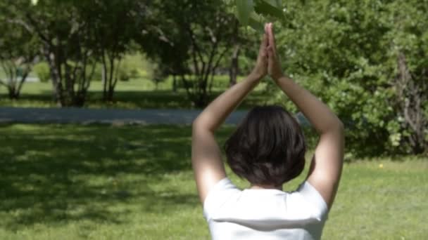 Girl doing yoga in green park — Stock Video