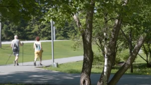 公園で年配のカップル ノルディック ・ ウォーキング — ストック動画
