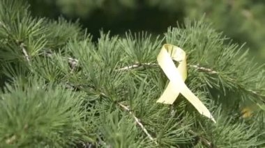 Yellow awareness ribbon ribbon on pine tree branch