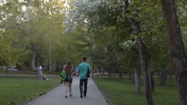 咲く公園の人々 — ストック動画