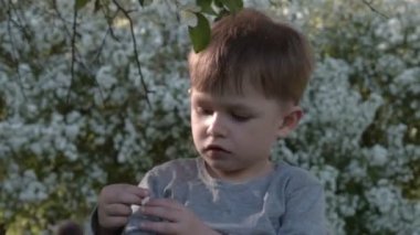 Çocuk ve çiçek açan elma ağacı