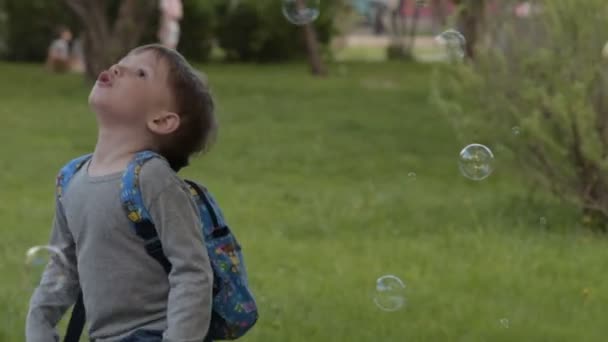 Ребенок смотрит вверх на летящие пузыри — стоковое видео