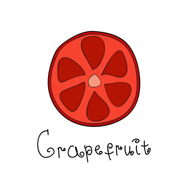 Doodle grapefruitu plátek — Stockový vektor