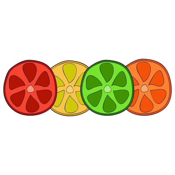 Bright citrus slices — Stock Vector