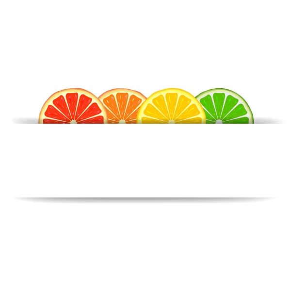Citrus with paper banner — Stock Vector
