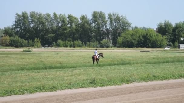 Jockey tendo tempo tranquilo antes de competições — Vídeo de Stock