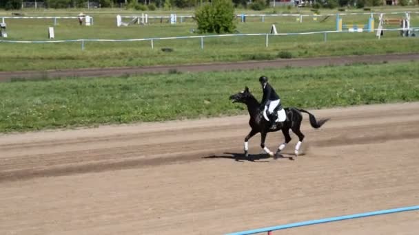 Femme jockey équitation cheval noir sur hippodrome — Video