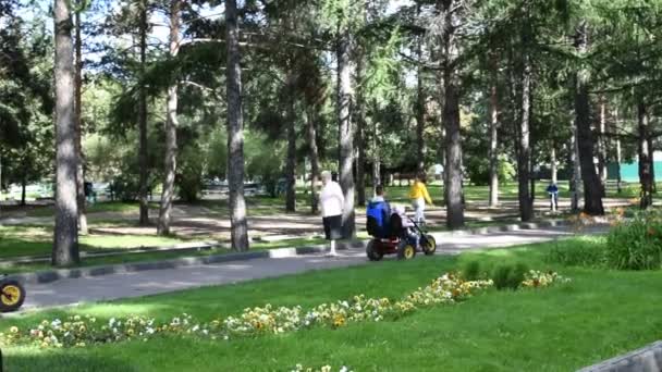 Folk spenderar tid i parken — Stockvideo