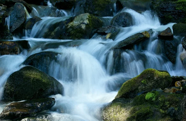 Bergbeek. Waterval, Stockafbeelding