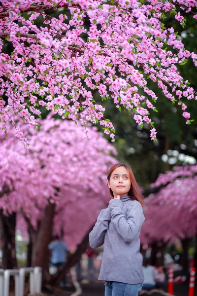 春の日には公園内のピンク色に満開の桜の木が美しいグレーのニットセーターを着た旅行者のヒップスター女性観光客 — ストック写真