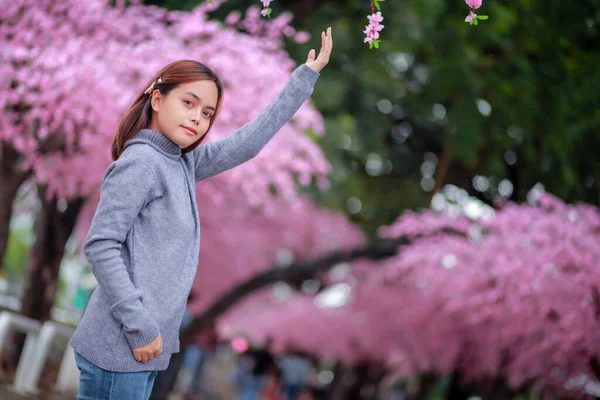 春の日には公園内のピンク色に満開の桜の木が美しいグレーのニットセーターを着た旅行者のヒップスター女性観光客 — ストック写真