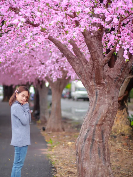 春の日には公園内のピンク色に満開の桜の木が美しいグレーのニットセーターを着た旅行者のヒップスター女性観光客 — ストック写真