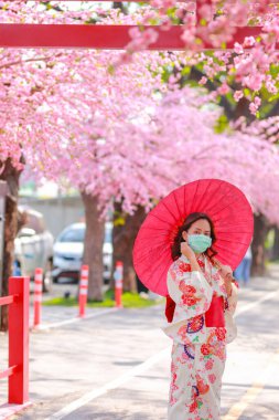 Gezgin bir genç Asyalı kadın portresi yukata elbisesi giyiyor ve Japon kiraz çiçekli sakura parkında gün ışığında ağaç yolunda yürüyor..