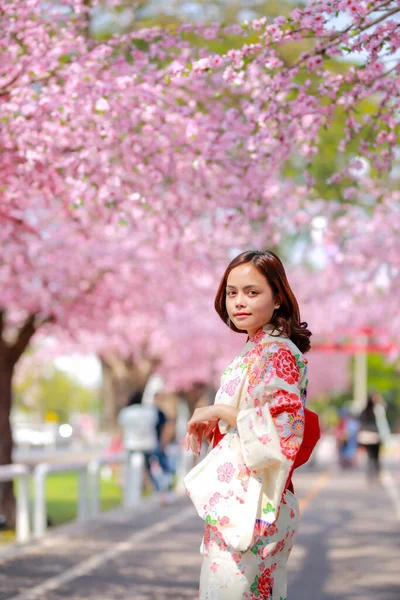 Πορτρέτο Ενός Ταξιδιώτη Νεαρή Ασιατική Γυναίκα Φορούν Ένα Φόρεμα Yukata — Φωτογραφία Αρχείου