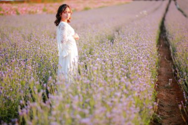 Lavanta tarlasında uzun sarı saçlı bir kadın. Stil hayatı, yaz günlerinde uzun beyaz elbiseli ve rahatlamış bir şekilde seyahatin tadını çıkarır..