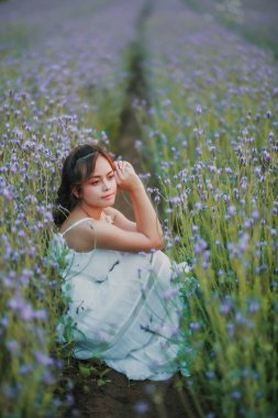 Lavanta tarlasında uzun sarı saçlı bir kadın. Stil hayatı, yaz günlerinde uzun beyaz elbiseli ve rahatlamış bir şekilde seyahatin tadını çıkarır..