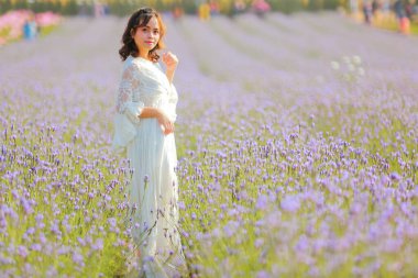 Lavanta tarlasında uzun sarı saçlı bir kadın. Stil hayatı, yaz günlerinde uzun beyaz elbiseli ve rahatlamış bir şekilde seyahatin tadını çıkarır..