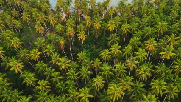 Вид Воздуха Природу Тропический Райский Пляж Острова Кох Куд Koh — стоковое видео