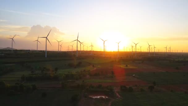 草坪上的风电场或风园全景是最清洁 可再生的电力资源之一 带有用于发电的高风力涡轮机 绿色能源概念 — 图库视频影像