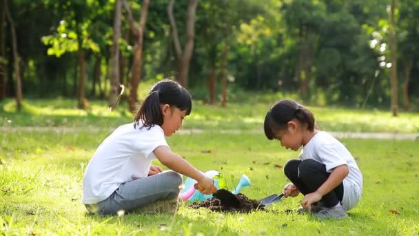 Söt Liten Flicka Asia Plantera Unga Träd Svart Mark Parken — Stockvideo