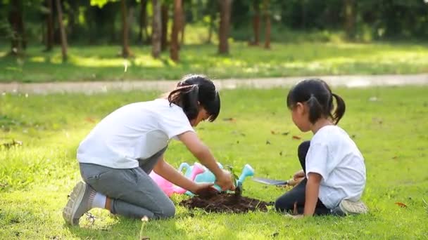 Cute Little Girl Azji Sadzenie Młodego Drzewa Czarnej Ziemi Parku — Wideo stockowe