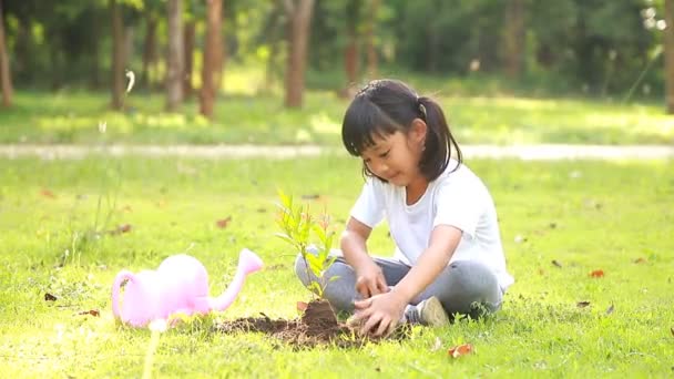 Cute Little Girl Azji Sadzenie Młodego Drzewa Czarnej Ziemi Parku — Wideo stockowe