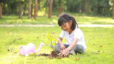 Asia 'nın parktaki kara toprağa genç bir ağaç dikmesi yeni bir hayat, çevre koruma kavramı gibi öğrenme becerilerini artırıyor ve geliştiriyor..