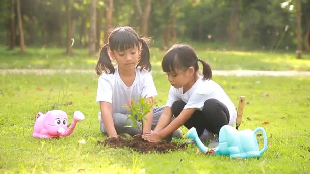 Menina Bonito Ásia Plantar Árvore Jovem Solo Preto Parque Que — Vídeo de Stock